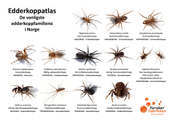 Edderkoppatlas - Forskerfabrikken