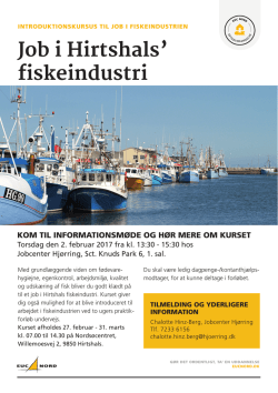 A5 - Job i fiskeindustrien_Hirtshals.indd