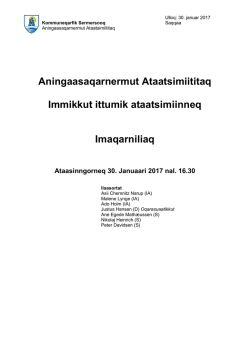 Aningaasaqarnermut Ataatsimiititaq Immikkut