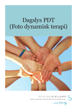 Dagslys PDT - Region Sjælland