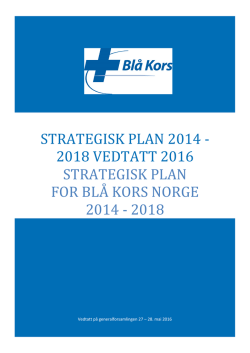 Strategisk plan 2014 - 2018 vedtatt 2016
