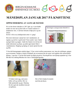 icon_pdf Knøttene månedsplan 201702