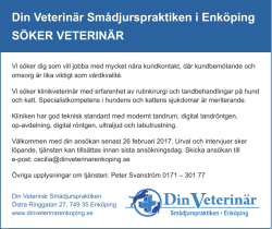 Din Veterinär Smådjurspraktiken i Enköping SÖKER VETERINÄR