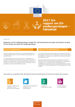 2017 års rapport om EU- medborgarskapet – faktablad