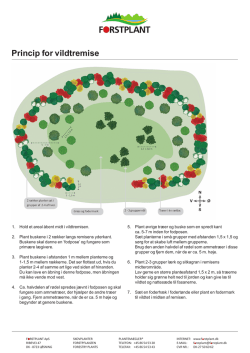 pdf: Forstplant princip | 3
