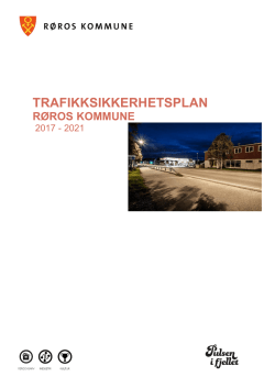 trafikksikkerhetsplan for perioden 2017 – 2021