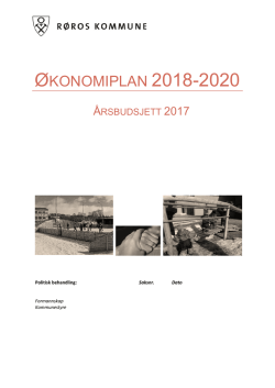 Budsjett 2017, økonomiplan 2018-2020