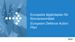 Europeisk åtgärdsplan för försvarsområdet European