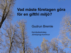 Gudrun Bremle, Jönköpings kommun