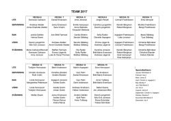 Teamuppgifter 2017 PDF