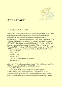 Nebbneset. G.nr. 95/1. Knut Raastad.