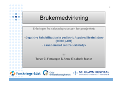 Presentasjon om brukermedvirkning v Finnanger/Brandt