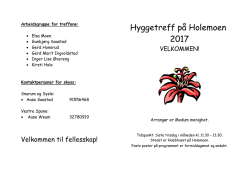 Program Holemoen 2017