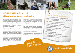 NORSK KENNEL KLUB - Hundeeiernes organisasjon