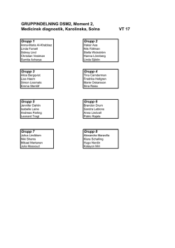 gruppindelning stud t4 vt17