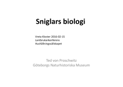 Sniglars biologi Vreta Kloster 2016