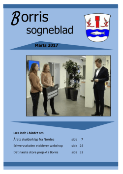 sogneblad - Borris.dk