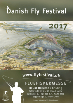 fluefiskermesse