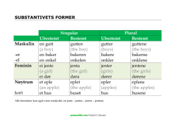 Substantivets former