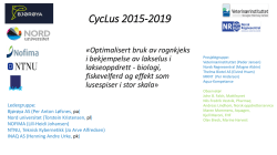 Cyclus, bruk av rognkjeks, best practise av Torstein Kristensen, Nord