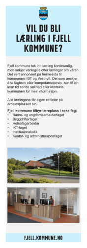 Vil du bli lærling i Fjell kommune?