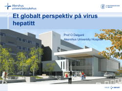 HCV global perspective ved professor Olav Dalgard ved Akershus