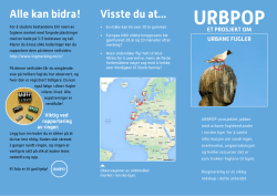 URBPOP folder - Stavanger museum