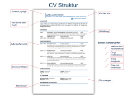 CV Struktur