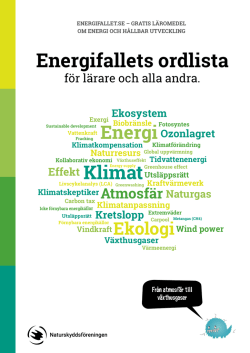 Energifallets ordlista