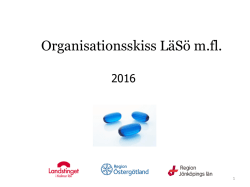 Organisationsskiss LäSö m.fl.