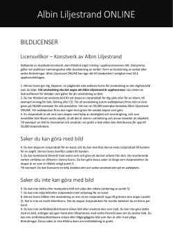 Licensvillkor - Albin Liljestrand ONLINE