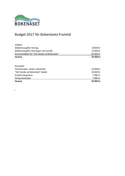 Budget 2017 för Bokenäsets Framtid