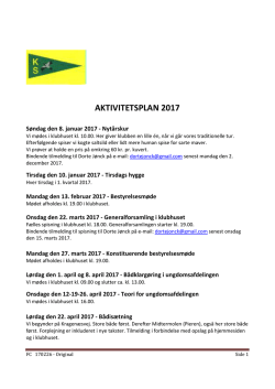 aktivitetsplan 2017