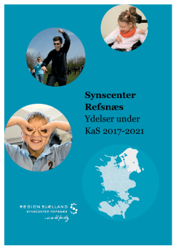 Synscenter Refsnæs Ydelser under KaS 2017-2021