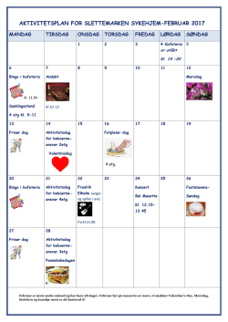 aktivitetsplan for slettemarken sykehjem-februar