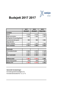 11. Sak 6.1 Budsjett 2017