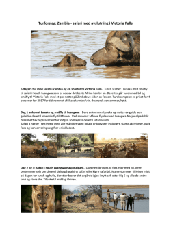 Turforslag: Zambia - safari med avslutning i Victoria Falls