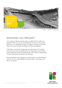 ekonomi i eu-projekt