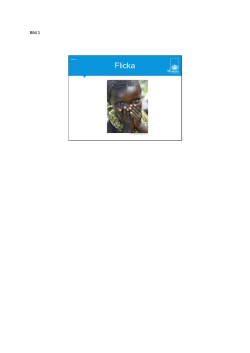 Flicka - Svenska FN