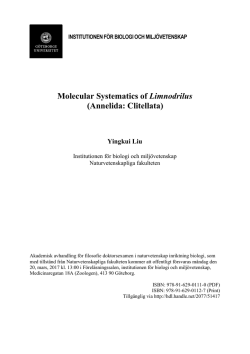 Molecular Systematics of Limnodrilus (Annelida: Clitellata)