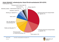 Dödsolyckor efter orsak 2014-2016, pdf, öppnas i nytt fönster