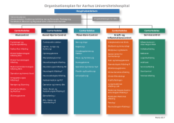 organisationsdiagrammet i pdf-format