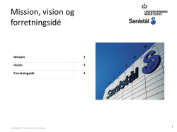 Mission vision og forretningsidé_Sanistål_faktatekst