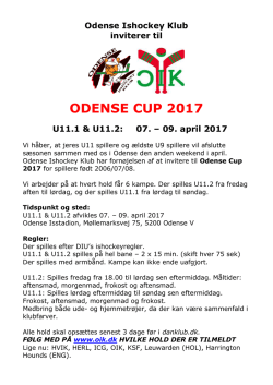 odense cup 2017 - Odense Bulldogs