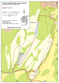 Søndre Haugstenåsen naturreservat