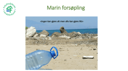 Marin forsøpling – hva gjør vi?