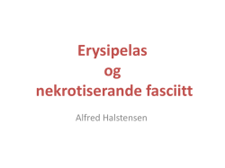 Halstensen Alfred - Erysipelas-feb.17
