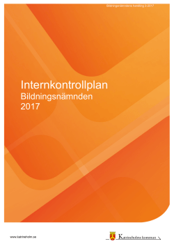 3-2017 Internkontrollplan 2017, 239 kB