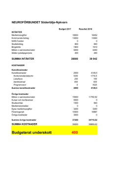 Budget 2017 (PDF-dokument, 13 kB)