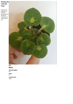 89 kr - Blommia